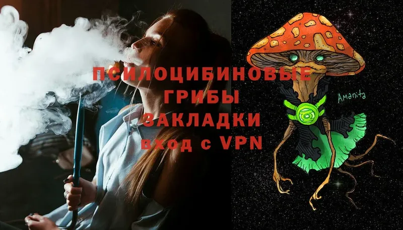 Галлюциногенные грибы Magic Shrooms  Саранск 